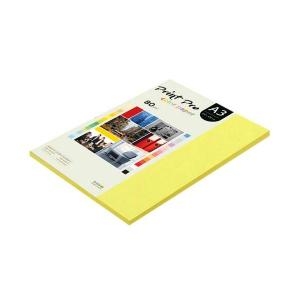 종이문화  프린트 프로 컬러 복사용지 A3 80g