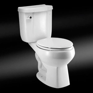 파인바스  대형 양변기 SC-728