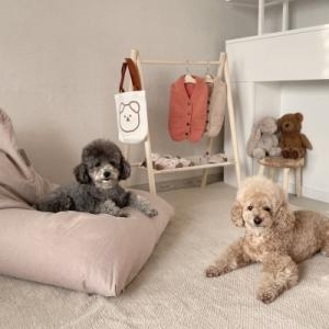 까유니아 반려동물행거 원목 우드 2단 행거 L