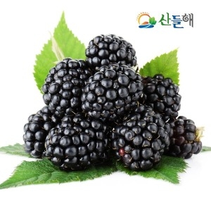산들해  지리산 슈퍼복분자 5kg 햇 블랙베리/산지직송