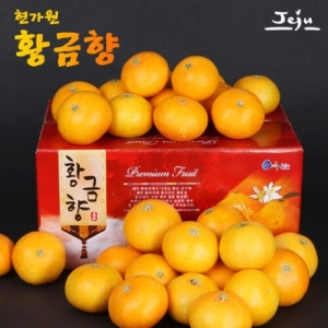 제주연가  황금향 가정용 5kg 35과 내외