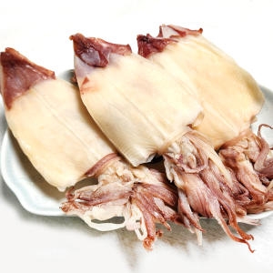 쪽빛누리  마른한치 건한치 한치 화살오징어 m 500g 어른 손 크기