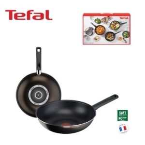 테팔  비스트브라운 궁중팬