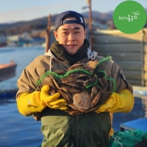 최고다농수산  싱싱한 참가리비/ 수입산 참가리비 대 8-11미 1kg
