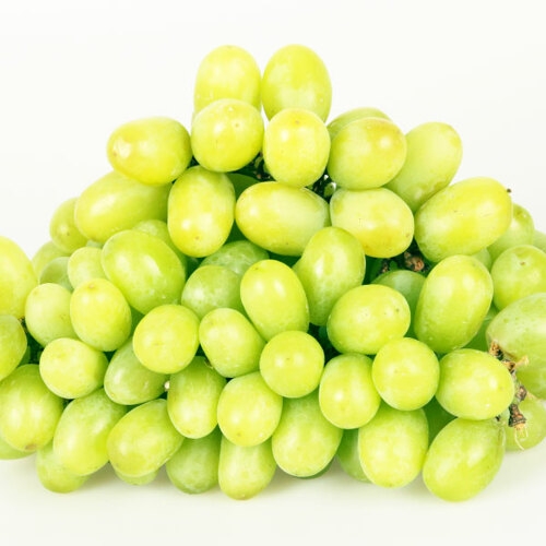 팜쿡  고당도 아삭 애플청포도 1kg