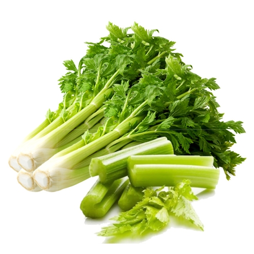 산정마을 국내산 샐러리 2kg 3kg 5kg