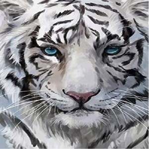 피포페인팅  DIY그림그리기셋트 MSZ159백호 size 40x50cm