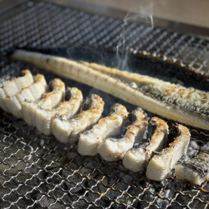 브라더팜  당일손질 고창 풍천 민물장어 1kg 손질후 600g내외