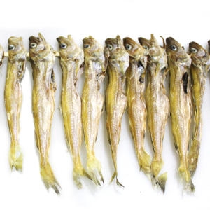 쪽빛누리  대구줄노가리 지방태 100급 20미