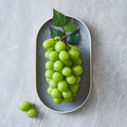 롯데마트  비파괴 당도선별 샤인머스캣