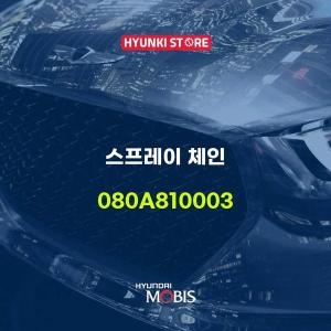 현대모비스  스프레이 체인 080A810003