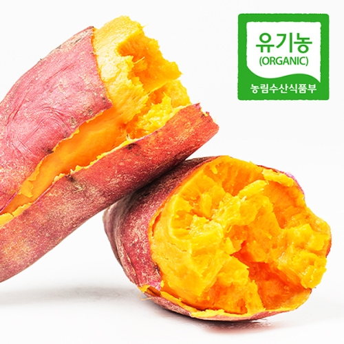 웰굿  무농약 해남 황토 꿀고구마 한입 10kg