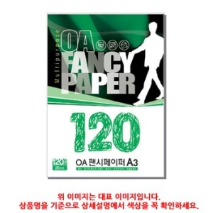두성종이  OA팬시페이퍼 A3 120g