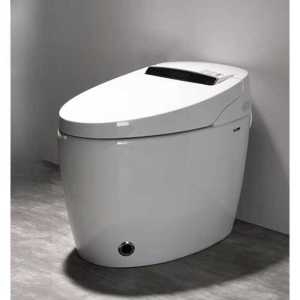 원피스  양변기 일체형 변기