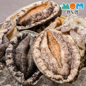 완도맘  완도 활 전복 1kg 16-18미 횟감용 싱싱한