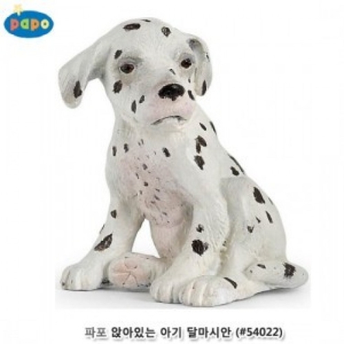 아기 달마시안 (54022)