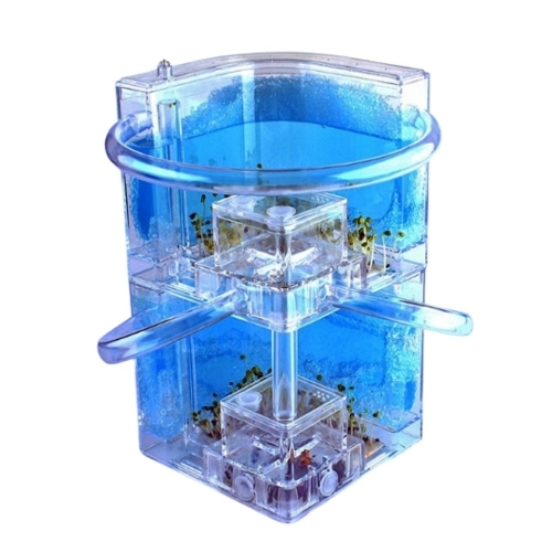 SSG 2단 개미집 여왕 개미 키우기 사육장 하우스 만들기