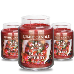 르미에 뚜껑없는 라지자 캔들 570g