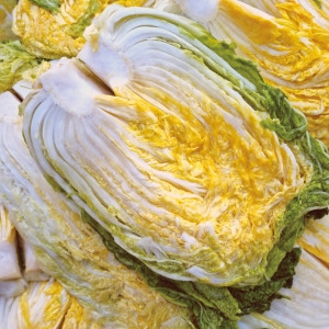 온새미로  괴산 절임배추 20kg