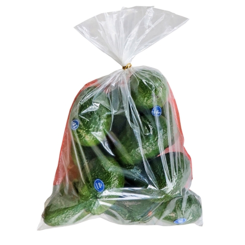 코스트코  아보카도