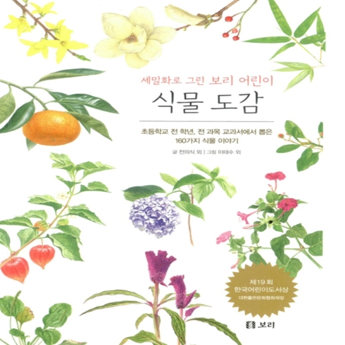 보리 세밀화로 그린 어린이 식물도감