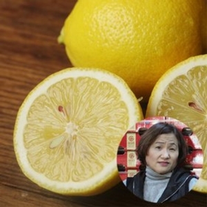 산지장터 가락시장 신진아님의 과즙 가득한 레몬 25과