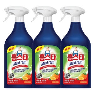 홈스타 주방용 세정제 900ml