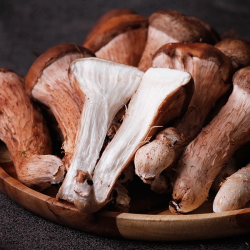 감동몰  참송이 나주 유주호님 참송이 특품 선물세트 700g