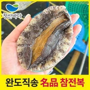 청산바다  완도직송 활전복 특대 1kg 7-8미