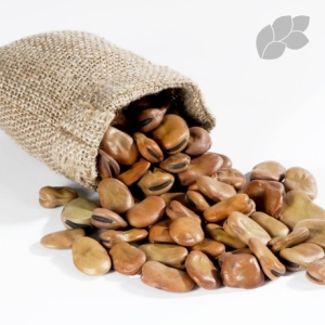 논앤밭위드  천연인슐린 당뇨/저지방/저당/고단백/식이섬유풍부 파바빈 500g+500g 총1kg