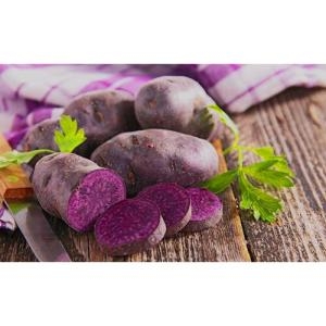 착한식탁  해남 자색고구마 5kg 특상급