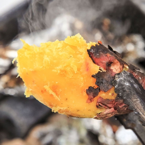 늘해랑  해남 호박고구마 특상 3kg