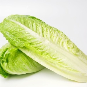 네츄럴픽  로메인상추 통로메인 모듬쌈 쌈채소 2kg