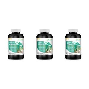 로얄캐네디언 100배 시서스 600mg 500캡슐