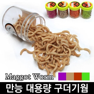 독고  구더기웜