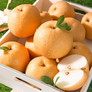 농부들의수확  나주 햇배 가정용 10~12과 5kg