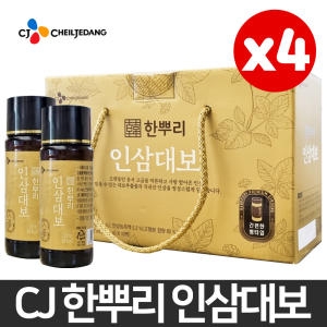 한뿌리 인삼대보 100ml