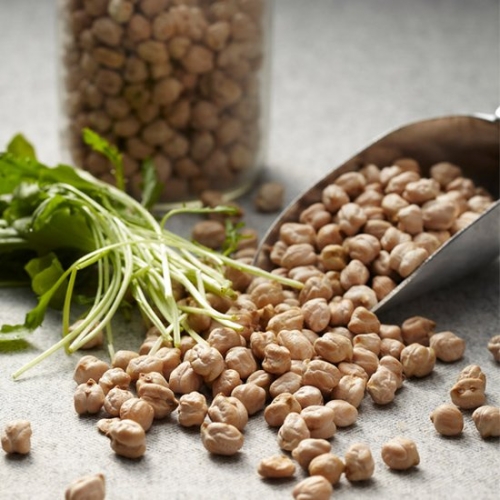 초원한방플러스 병아리콩 1kg