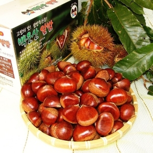푸르젠  하동직송 23년산 햇 알밤 2kg 특