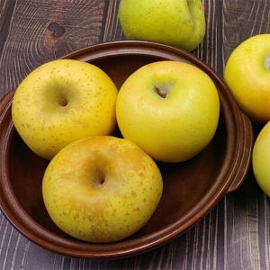 더조은푸드  황금사과 시나노골드 가정용 10~13과 2kg