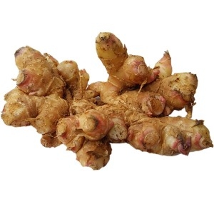 생강마트  봉동 토종생강 1kg 2022 가을 수확 토종 명품 약생강