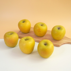 더조은푸드  황금사과 시나노골드 주스용 9kg 랜덤과