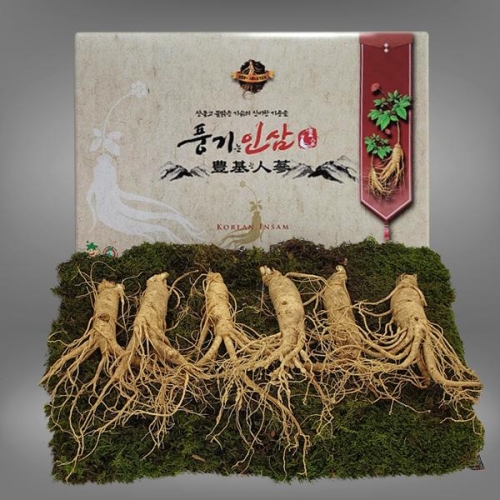 대경인삼사 풍기인삼 5년근 수삼 1채 6~7뿌리 500g [1개] - 에누리 가격비교