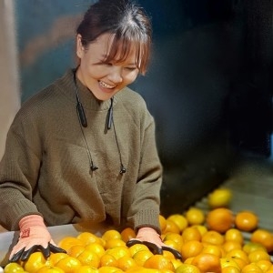 유나네농장  노지감귤 중과(M/L) 10kg