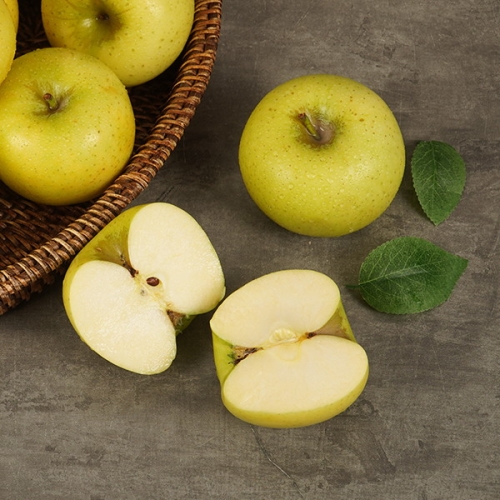 지투지샵  황금사과 시나노골드 흠과 중과 5kg