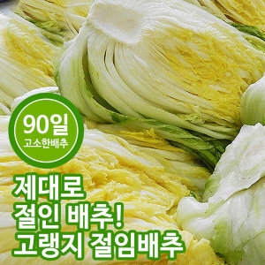  감자바우농산물 강원도 고랭지절임배추 20kg[1개]