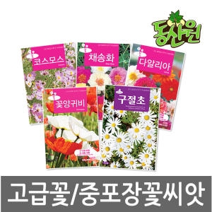 동산원  씨앗모음 고급 꽃씨앗 중포장 꽃씨 양귀비 봉선화