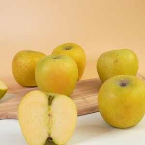 더조은푸드  황금사과 시나노골드 가정용 10~14과 3kg