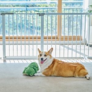 리포소 울타리 펜스 소형 70cm CZ-1