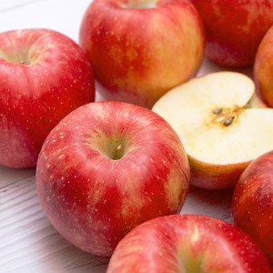 지안농산  경북 홍로 부사 랜덤 흠조금 10kg